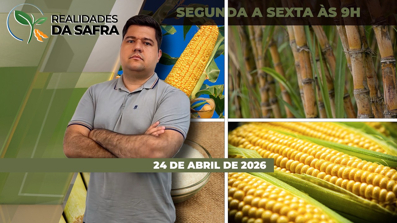 REALIDADES DA SAFRA - EDIÇÃO 24/04/2026