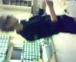 Bartendern Joel