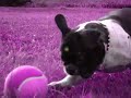 playtime - stitch