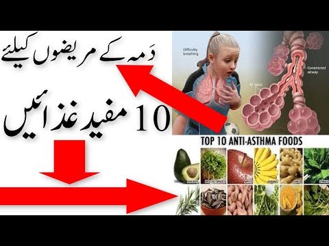 Cleanse recipes for weight loss nutribullet The hormone cleanse recipes for weight loss nutribullet reason they