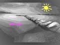 Alexandrina-Hristov-
