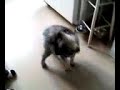 AWWWWWWWWW!!!! AWWWWWWWWW!!!!