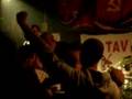 BRIGATA CANI DA BIRRA  -Molestie Sociali-