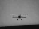 police officer : well, denham, the airplanes got him.
denham: oh, no. it wasn't the airplanes. it was beauty killed the beast.

oh really,