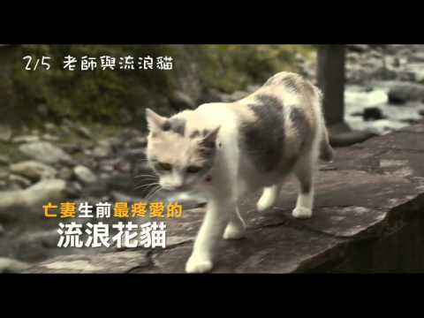 【老師與流浪貓】短版預告