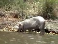 Paddling Guatemala