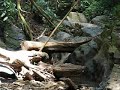 River.avi