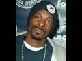 Big snoop doggy dogg ft j.valentine , get with this 2007