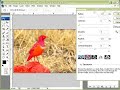 photoshop CS3 ME Extended ?? ?????? ?? photoshop CS3 ME Extended ?? ?????? ??