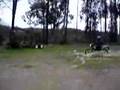 Assistir ao v�deo