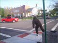 Dance Dance Gorrilla