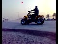 عاشت التجمعات