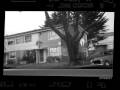 Sunnydale in San Francisco, Ca