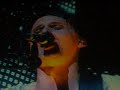 muse-starlight