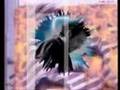 TOLGA TABU   HELAL�N B�R ADINMIYDI 