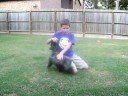 1st haircut befor ear crop longer movie
