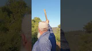 بيت علي يوسف محمد علي المدمر في بيت ثول بيت علي يوسف محمد علي المدمر في بيت ثول