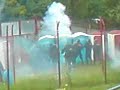 kibice stal�wki