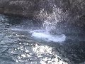 i jumped!
