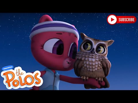 Night Song | Adventure Learning | MarcoPolo World School | Learn At Home