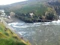 Mullion Harbour and Mother Nature