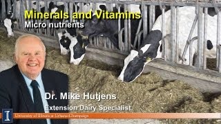 Minerals and Vitamins