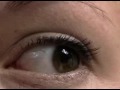DUI Field Tests - HGN - Utah Criminal Defense Attorney Kelly Ann Booth