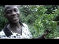 an-introduction-to-camfed-by-morgan-freeman.html