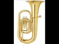 Collaborative Work, Tuba.wmv