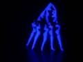 Momix 2006 teatro Municipal Rio de Janeiro