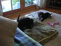 Monty And Quincy #2