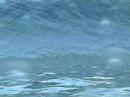 Natural reefing trip Natural reefing trip
