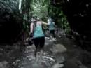 Jungle Bon2x Trip