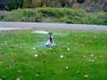 Hirobo Sceadu .30 RC Helicopter