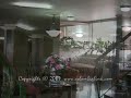 Colombialink.com - El Dorado - Hotel - Cartagena