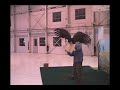 Training a Bald Eagle Training a Bald Eagle