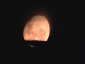Sonidos de la noche en la luna menguante del Paran�