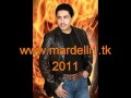 munir hassan 2011 rmade fe haak gill