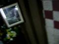 videos de MOV01957