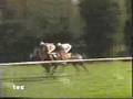 1984 (342) Premio VILLAMEJOR (Grupo I) (LORD OWEN)