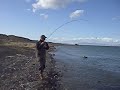 5-weight tester