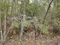 Hike-- Makepeace Lake WMA northeast corner