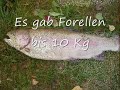 Forellen angeln