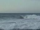 gabito bodyboarding