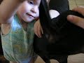 ~VICIOUS DOBERMANS ATTACK~ PART 3 ~VICIOUS DOBERMANS ATTACK~ PART 3
