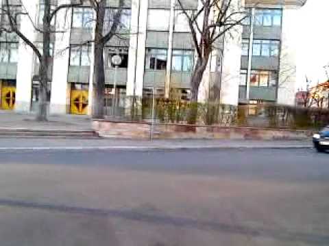 max bmxt am celtis