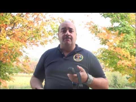 how to train with shock collar