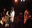 madcap death panda - untitled 1