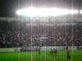 videos de Trinca vs Queretaro