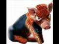 Crank That Spiderpig